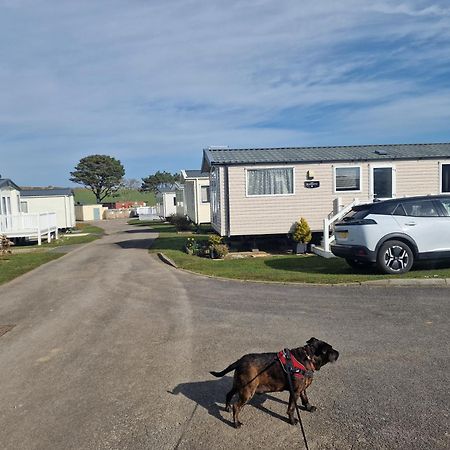 Durdlee Door, D27, Main Rd, West Lulworth, Wareham Bh20 5Pu 호텔 외부 사진